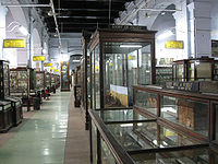 भारतीय संग्रहालय, कोलकाता