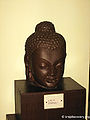 बुद्ध मस्तक Buddha Head