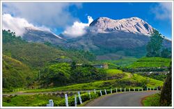 केरल के मुन्नार का प्राकृतिक सौंदर्य