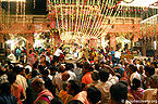 होली, द्वारिकाधीश मन्दिर, मथुरा Holi, Dwarkadhish Temple, Mathura