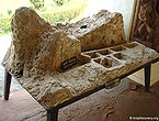सौंख के टीले का नमूना Model of Sonkh Mound