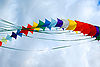 Colour-kites.jpg