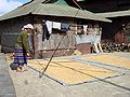 अनाज सुखाती महिला, नागालैंड