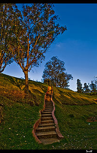 रोज़ गार्डन