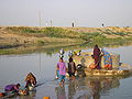 पानी भरती ग्रामीण महिलायें, गुजरात