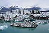 Glacier-5.jpg