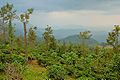 पोनमुदी पर्वत, तिरुअनंतपुरम