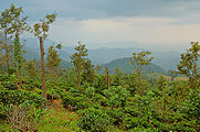 पोनमुदी पर्वत, तिरुअनंतपुरम Ponmudi Hills, Tiruvananthapuram