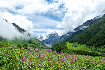 फूलों की घाटी राष्ट्रीय उद्यान, उत्तराखण्ड