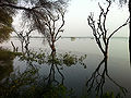 थोल झील, अहमदाबाद
