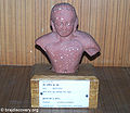 जैन प्रतिमा का धड़ Bust of Jina