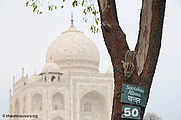 Tajmahal-20.jpg