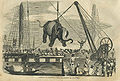 एक हाथी को जहाज़ से भूमि पर उतारते हुए