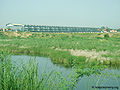 गोकुल बैराज, गोकुल Gokul Barrage, Gokul