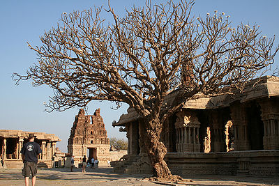 विजय विट्ठल मन्दिर, कर्नाटक
