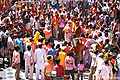 होली, दाऊजी मन्दिर, बलदेव Holi, Dauji Temple, Baldev