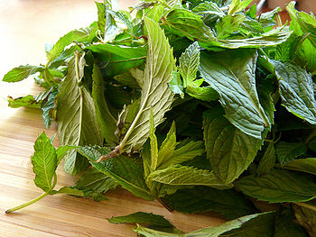 पुदीने की पत्तियाँ