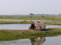 चिल्का झील, ओडिशा