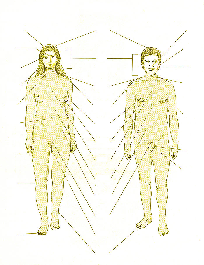 Human-Body-Organ.jpg