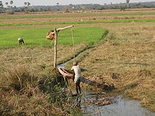 Irrigation-India.JPG