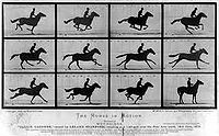 Running-horses.jpg