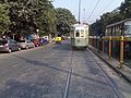Tram-Kolkata.jpg